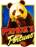 แนะนำเว็บ แทง บอล 168 สำหรับมือใหม่ ทดลองเล่นฟรี